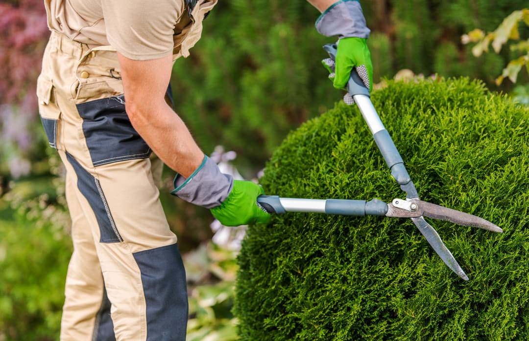 Schaffer Outdoor Services LLC